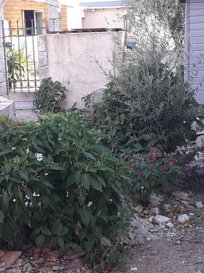 Maison Cosy Cournonterral Dış mekan fotoğraf